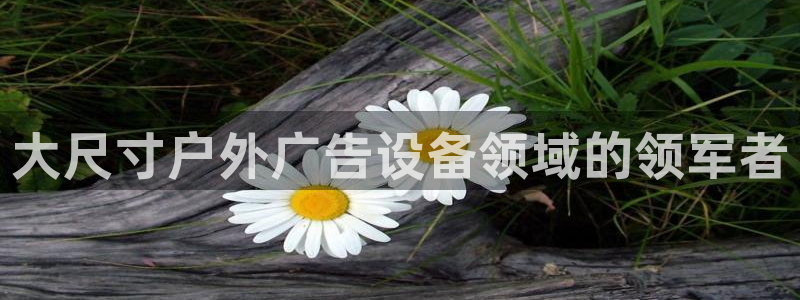 杏宇平台代理