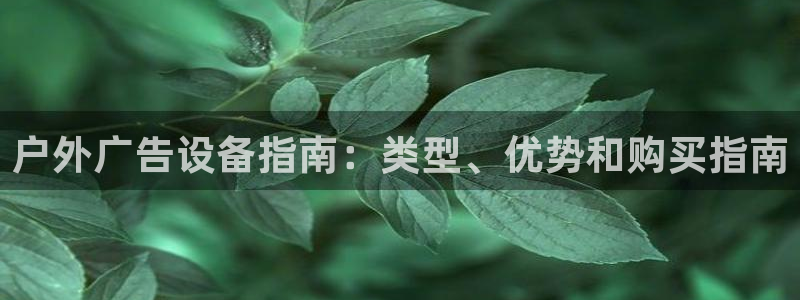 杏宇平台注册登录