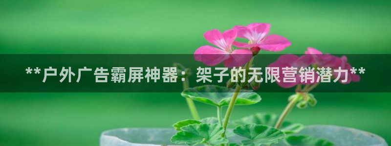 杏宇平台总代理：**户外广告霸屏神器：架子的无限营销潜力**