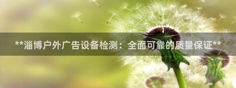 杏宇平台登录步骤：**淄博户外广告设备检测：全面可靠的质量保证**