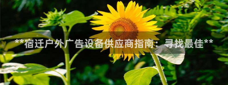 杏宇平台代理怎么赚钱的：**宿迁户外广告设备供应商指南：寻找最佳**