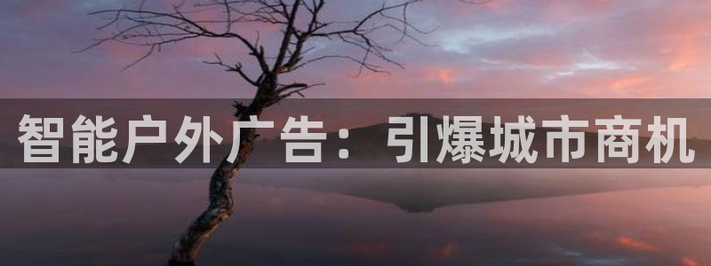 杏宇平台总代理电话