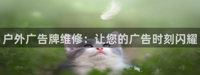 杏宇平台提现为什么这么久呢