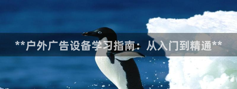 杏宇平台招商电话号码