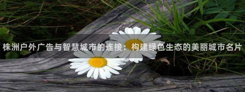 杏宇平台总代理电话：株洲户外广告与智慧城市的连接：构建绿色生态的美丽城市名片