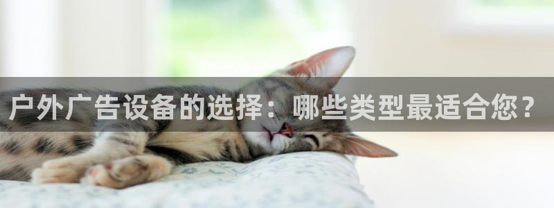 杏宇平台是什么：户外广告设备的选择：哪些类型最适合您？