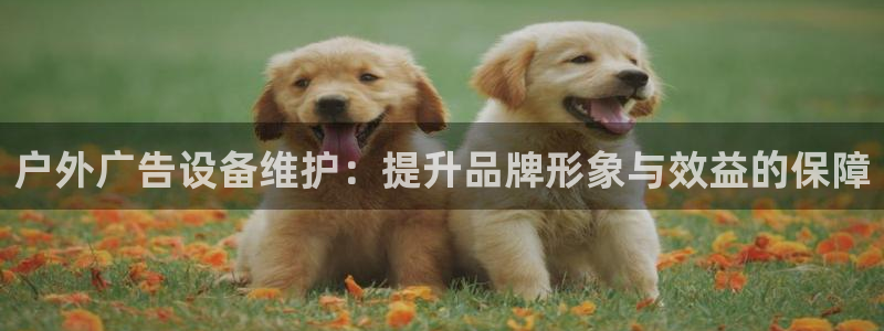 杏宇平台是什么