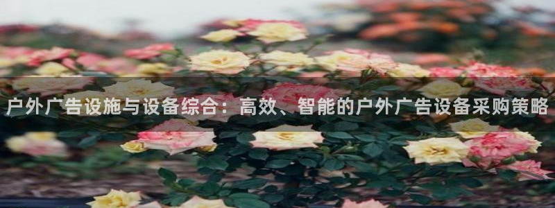 杏宇平台总代理电话：户外广告设施与设备综合：高效、智能的户外广告设备采购策略