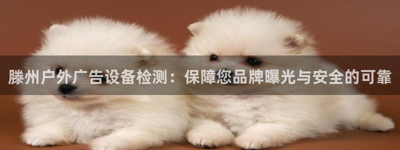 杏宇平台招商怎么样