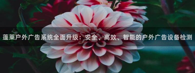 杏宇平台代理多少钱一个月：蓬莱户外广告系统全面升级：安全、高效、智能的户外广告设备检测
