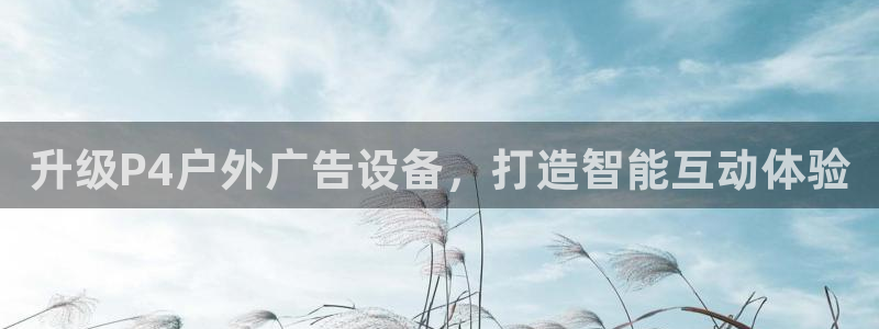 杏宇平台代理怎么样啊