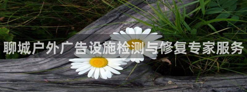 杏宇平台开户：聊城户外广告设施检测与修复