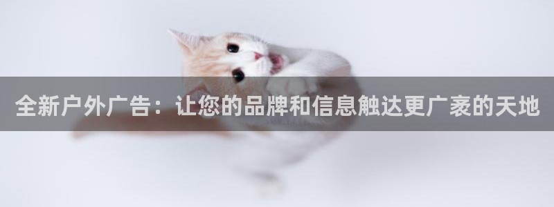杏宇平台开户：全新户外广告：让您的品牌和