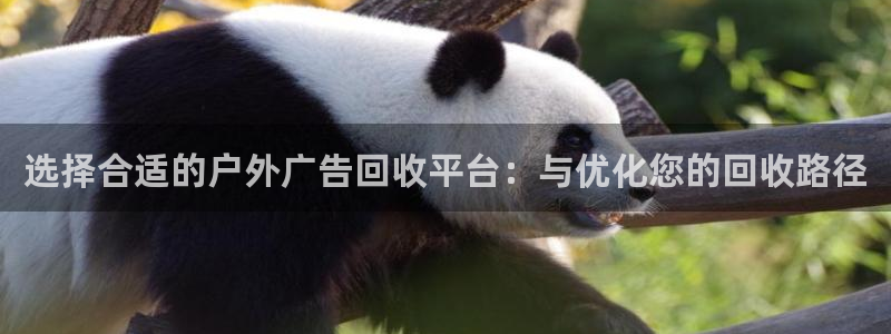 杏宇平台招商怎么样：选择合适的户外广告回