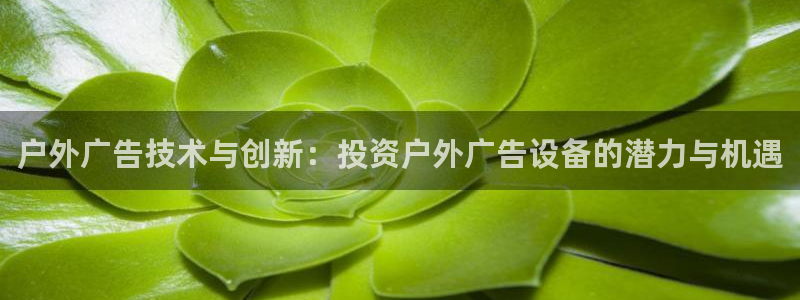 杏宇平台登录步骤：户外广告技术与创新：投