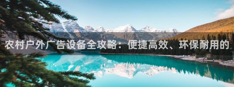 杏宇平台提现为什么这么久呢：农村户外广告