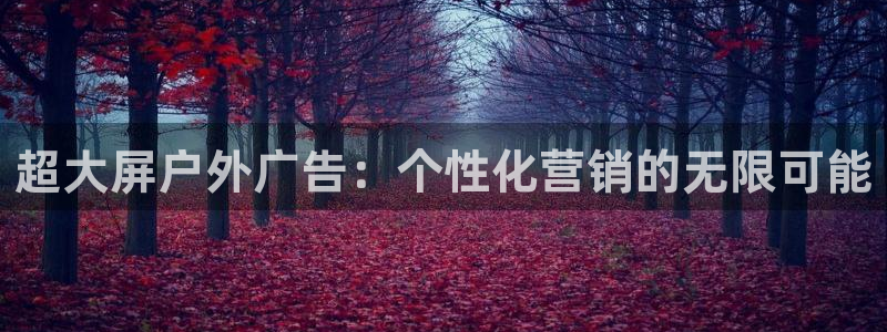 杏宇平台招商：超大屏户外广告：个性化营销