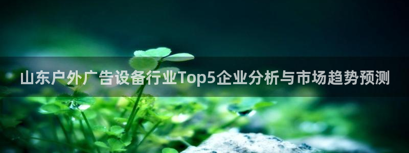 杏宇平台代理怎么赚钱快