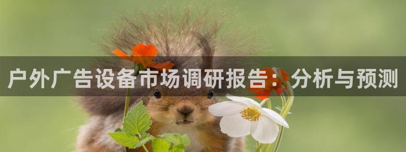 杏宇平台是什么：户外广告设备市场调研报告：分析与预测