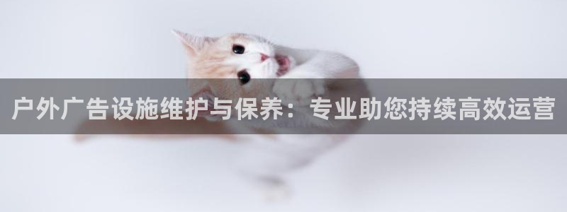 杏宇平台代理怎么样：户外广告设施维护与保养：专业助您持续高效运营