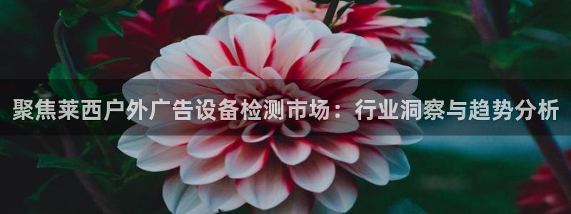 杏宇平台代理怎么样可靠吗：聚焦莱西户外广
