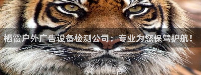 杏宇平台总代理