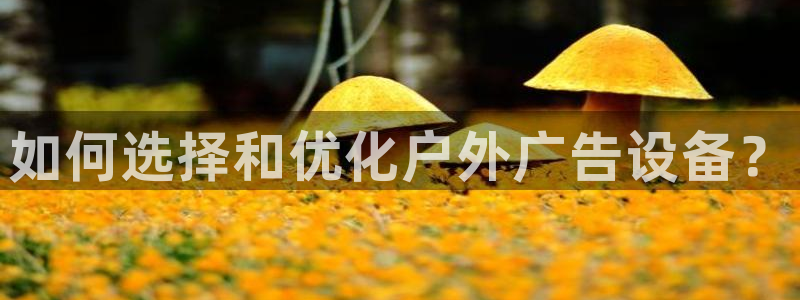 杏宇平台注册登录：如何选择和优化户外广告