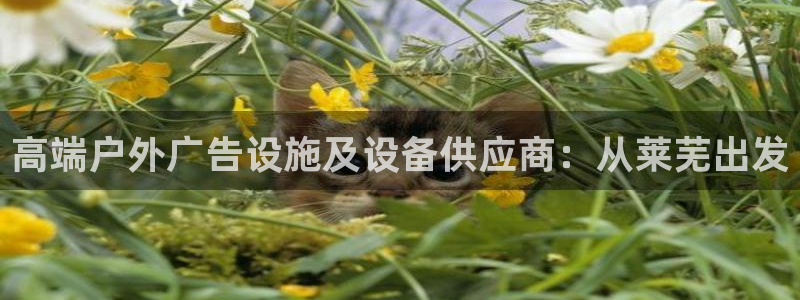 杏宇平台代理怎么样可靠吗：高端户外广告设施及设备供应商：从莱芜出发