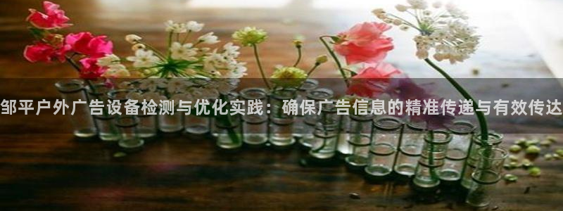 杏宇平台代理怎么赚钱快：邹平户外广告设备检测与优化实践：确保广告信息的精准传递与有效传达