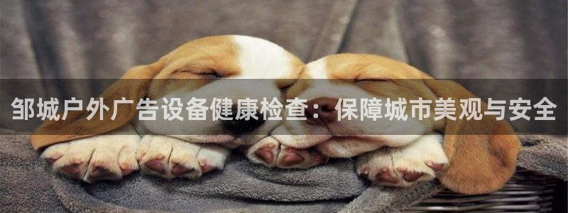 杏宇平台测速链接