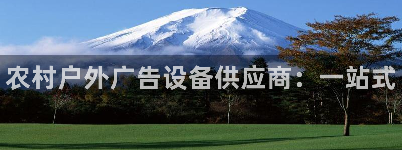 杏宇平台客服：农村户外广告设备供应商：一站式