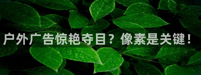 杏宇平台注册地址