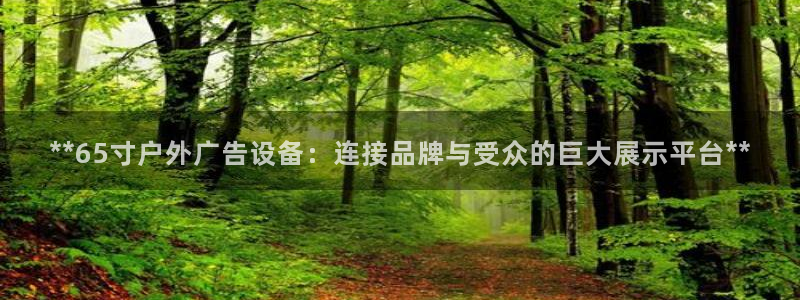 杏宇平台登录步骤：**65寸户外广告设备：连接品牌与受众的巨大展示平台**
