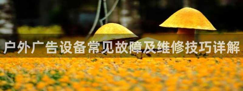 杏宇平台代理怎么样可靠吗：户外广告设备常见故障及维修技巧详解
