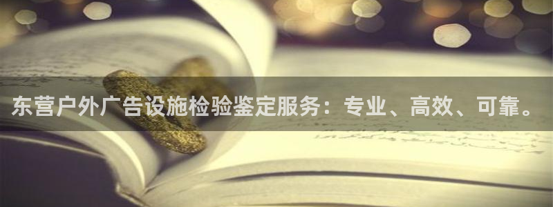 杏宇平台主管：东营户外广告设施检验鉴定服务：专业、高效、可靠。