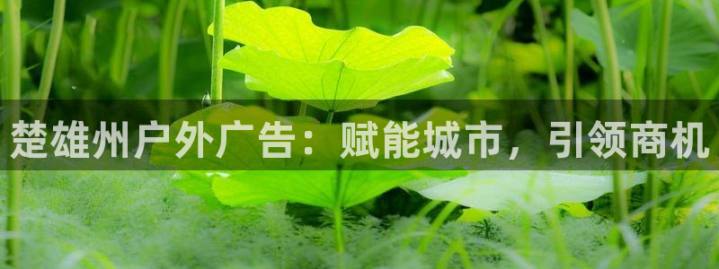 杏宇平台注册登录