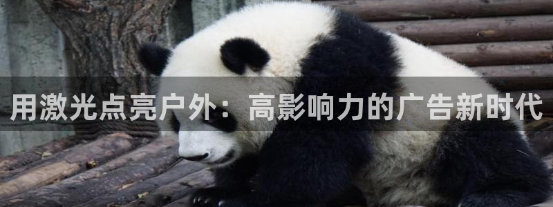 杏宇平台是什么