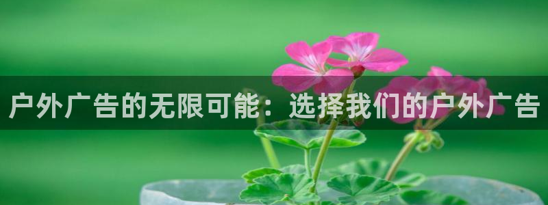 杏宇平台测速链接：户外广告的无限可能：选择我们的户外广告