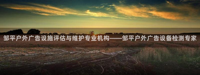 杏宇官方平台官网：邹平户外广告设施评估与维护专业机构——邹平户外广告设备检测专家