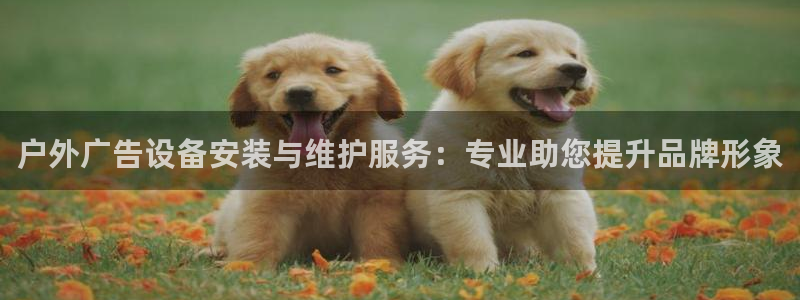 杏宇平台注册登录：户外广告设备安装与维护
