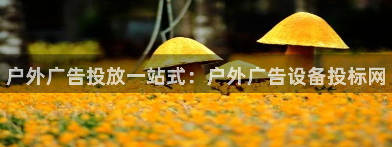 杏宇平台提现为什么这么久呢